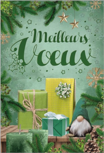 Carte Meilleurs voeux