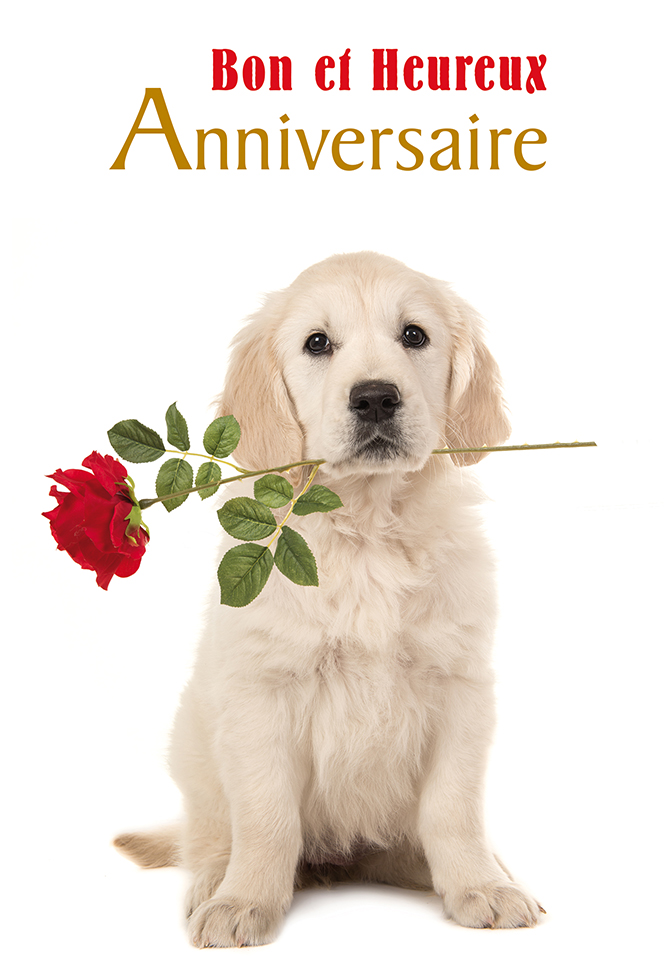 Carte Anniversaire