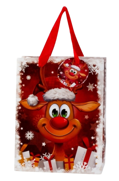 Sac-cadeaux pour noël