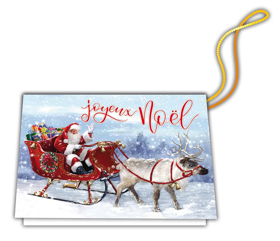 Sachet 6 étiquettes cadeaux avec fil or