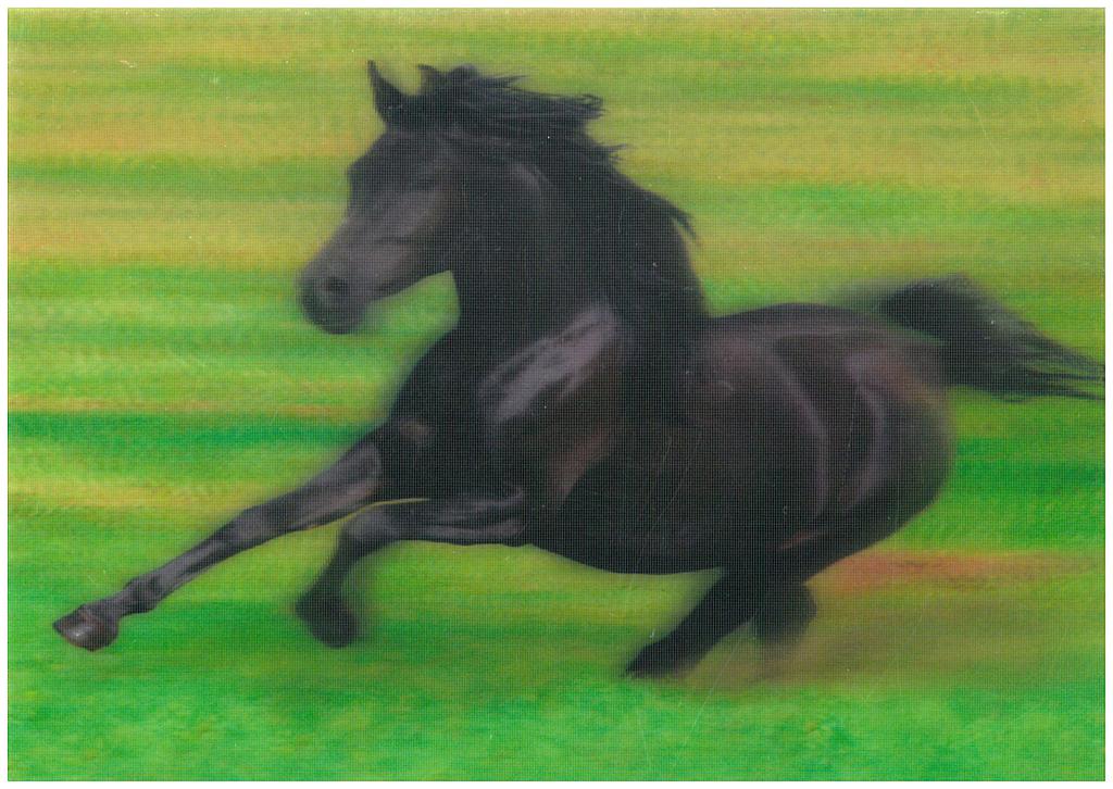 Postcards 3D Arabian Horse galloping