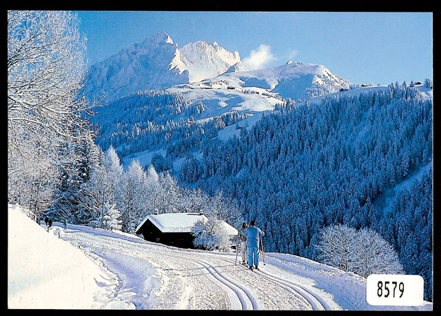 Postcards 08579 w Villars-sur-Ollon