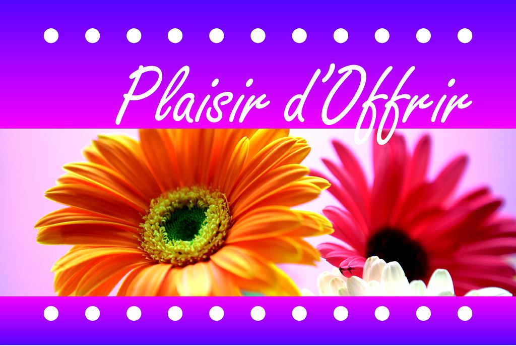 Mini cartes simples Plaisir d'offrir