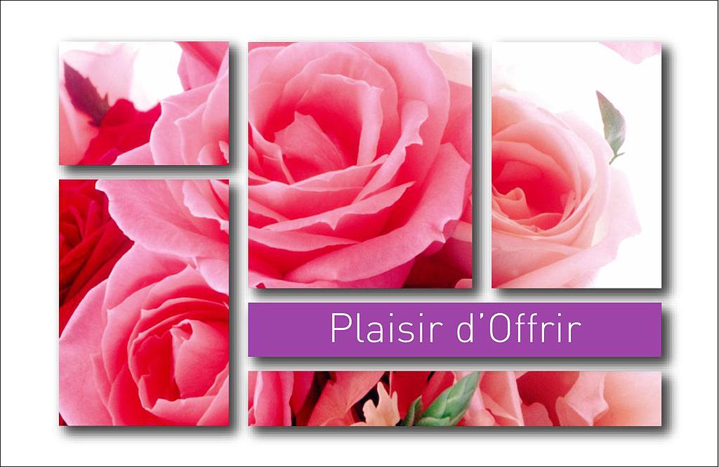 Mini cartes simples Plaisir d'offrir