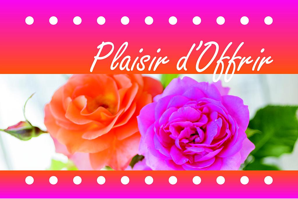 Mini cartes simples Plaisir d'offrir