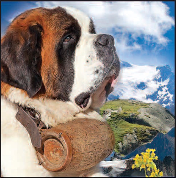 3D Videocards 00082 St-Bernard