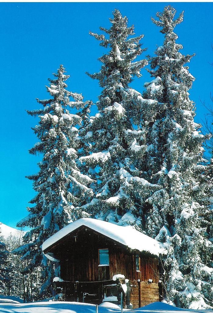 Postcards 00856 w Sapins chalet