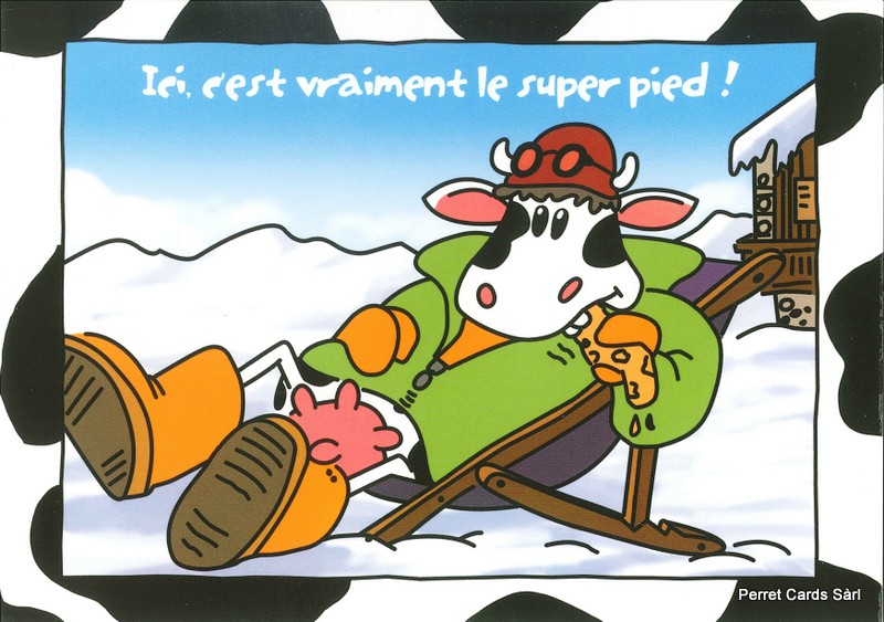 Postcards 24706 w Vaches (Ici, c'est vraiment le pied)