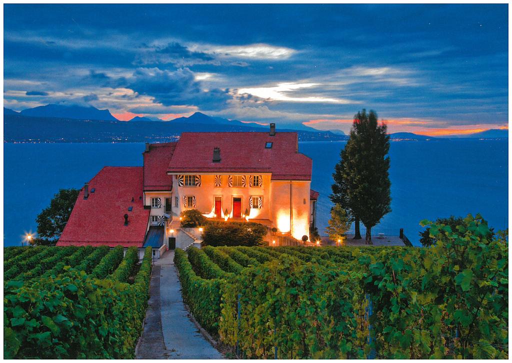 Postcards 27470 Lavaux VD