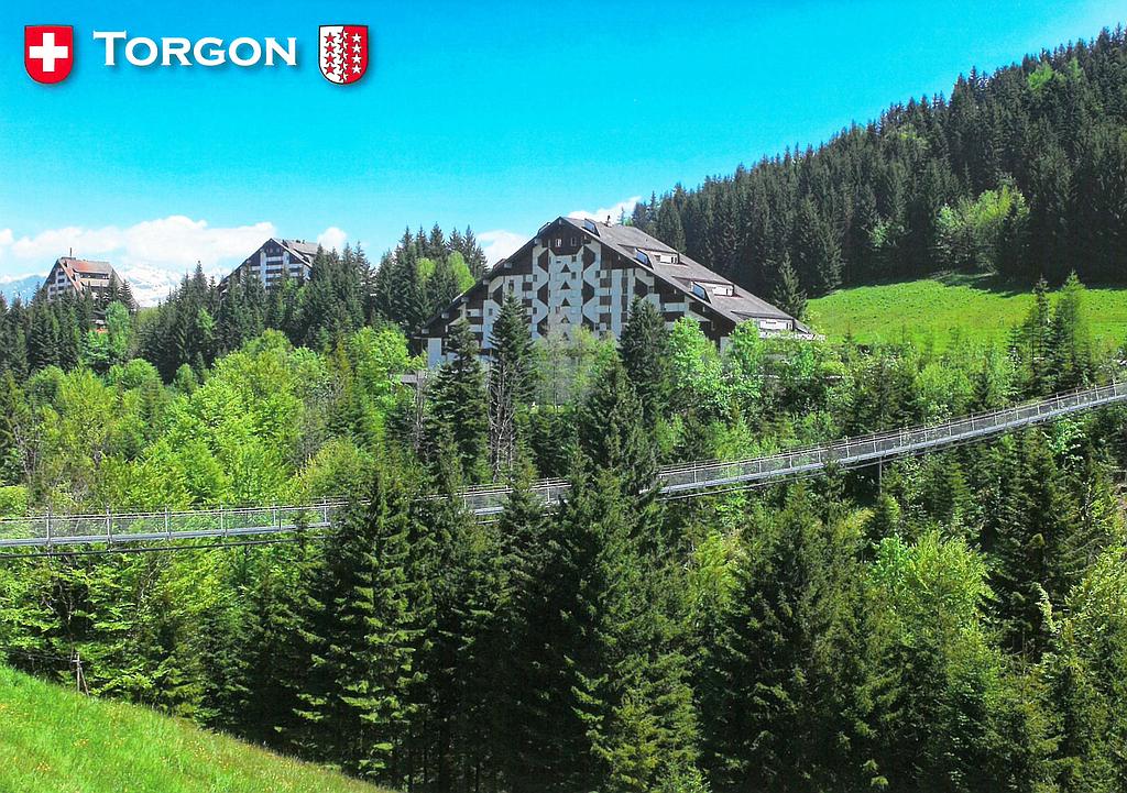 Postcards 27830 Torgon (VS) Pont suspendu