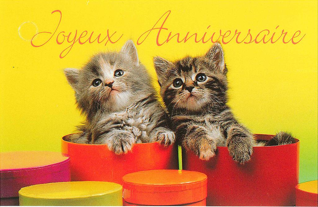 Mini cartes simples Anniversaire