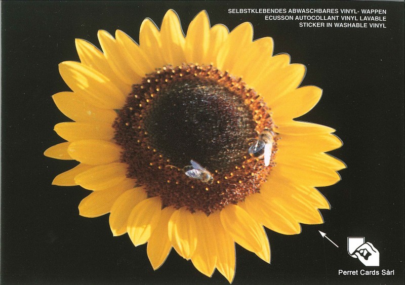 Postcards SK 466 Stickers Abeille sur tournesol