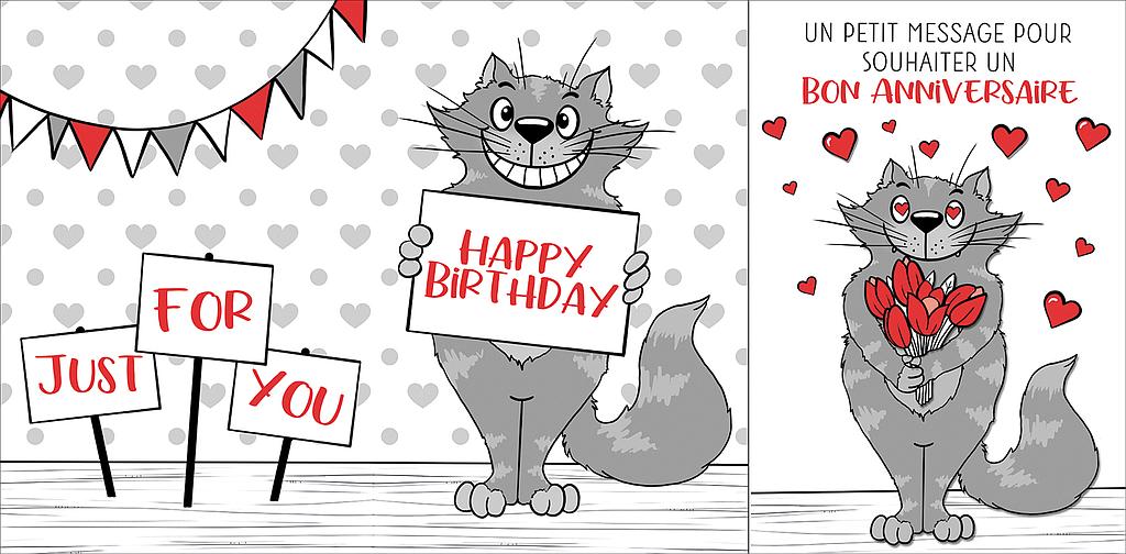 Mélange de 6 cartes à 4.90 Anniversaire Chat