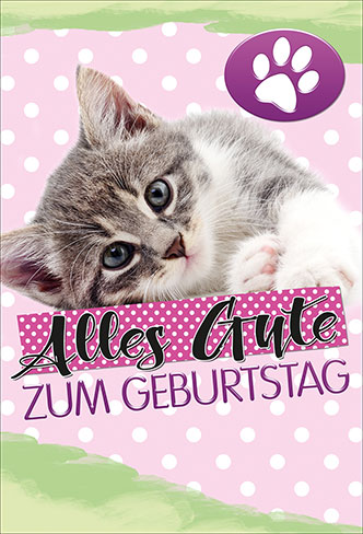 Mischung 10 Karten je 3.90 Geb.Katzen+Hunde