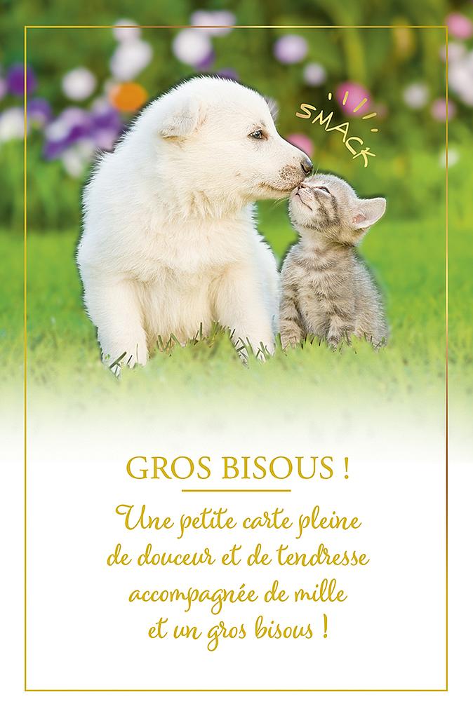 Carte &quot;Amour, Amitié&quot;