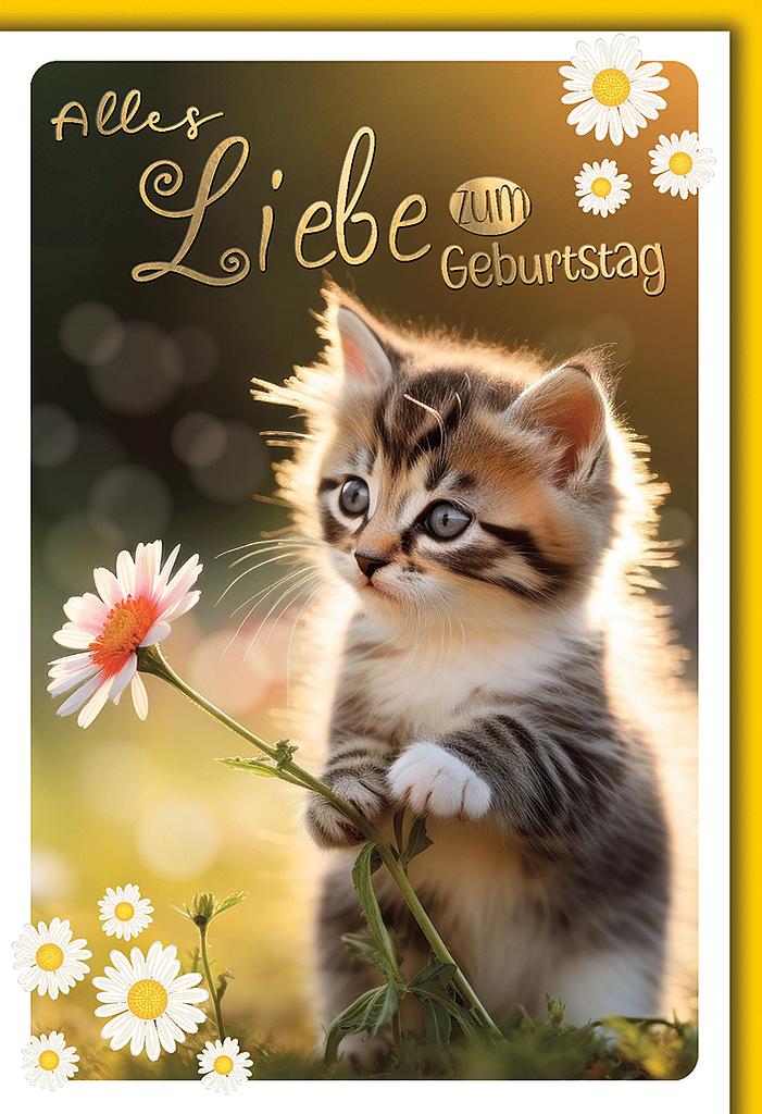 [GBG64CAT] Mischung 10 Karten je 3.90 Geburtstag