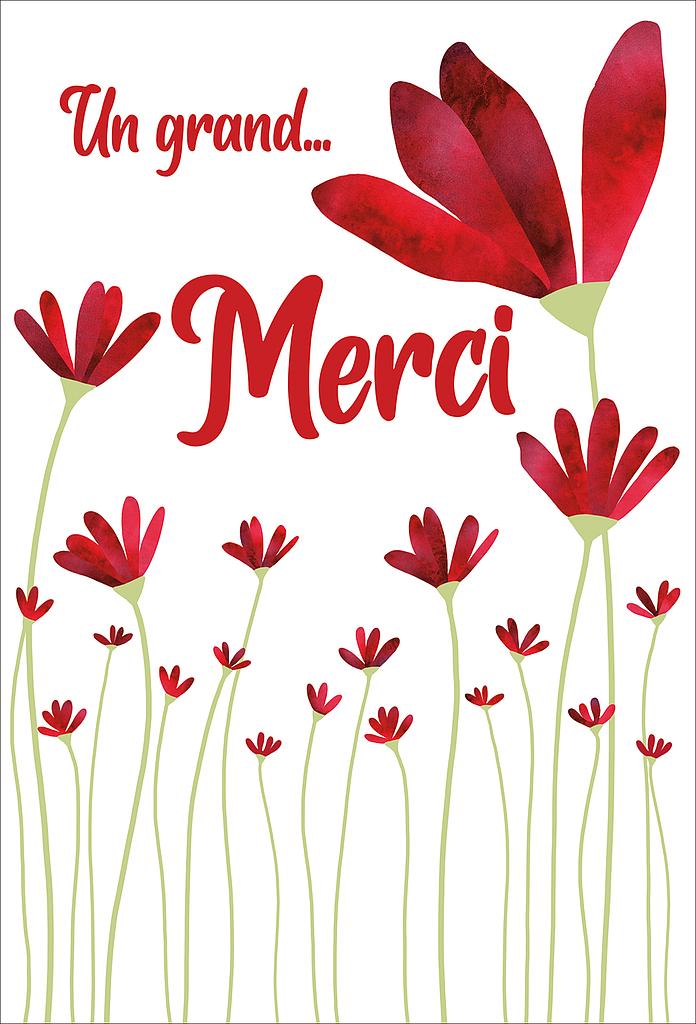 [MC 525153-5] Carte Merci