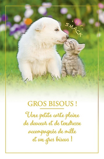 [AM 70028] Carte &quot;Amour, Amitié&quot;