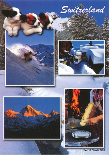 [6191134] Postcards 91134 Switzerland (Raclette, Bernhardinerhunde)