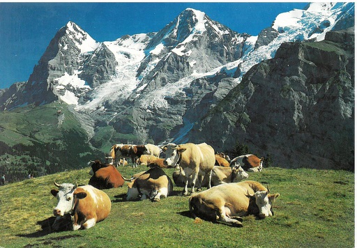 [1013280] Postcards 13280 Eiger,Mönch