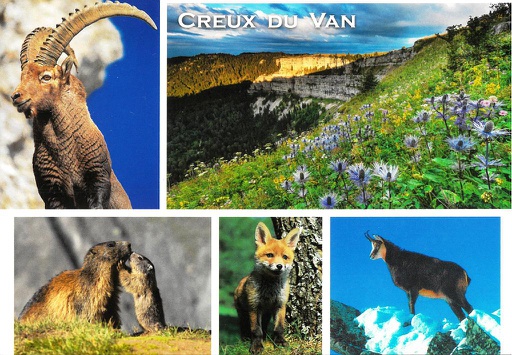 [1029606] Postcards 29606 Le Creux du Van