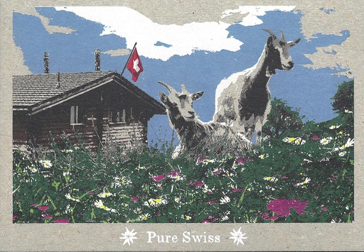 [6751127] Postcards 51127 Pure Swiss Chèvres