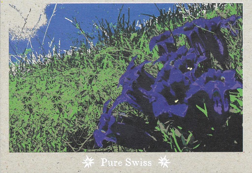 [6751131] Postcards 51131 Pure Swiss Enziane