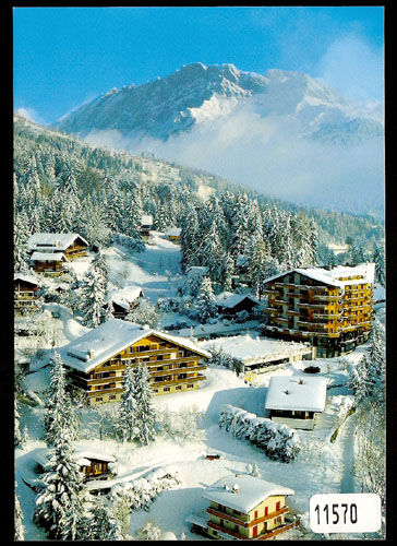 [6311570] Postcards 11570 w Villars