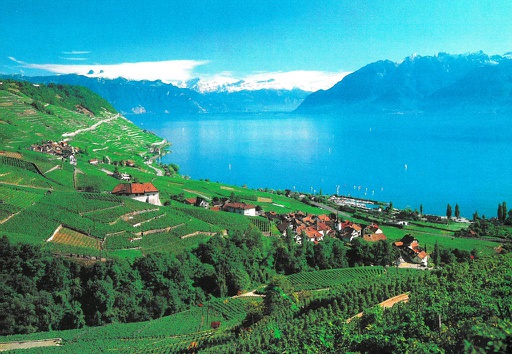 [1014217] Postcards 14217 Lavaux