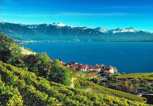 [1026905] Postcards 26905 Lavaux