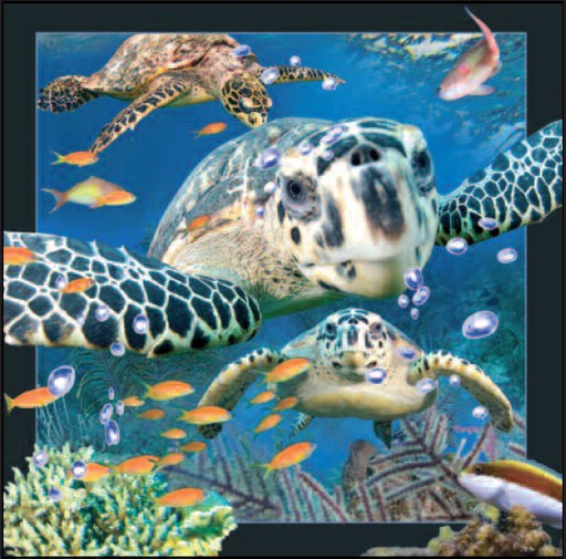 [BZ19008897] 3D Videocards 00031 Tortue