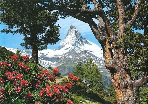 [1036429] Postcards 06429 Matterhorn