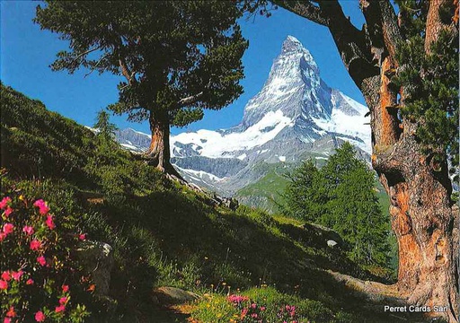 [1011513] Postcards11513 Matterhorn