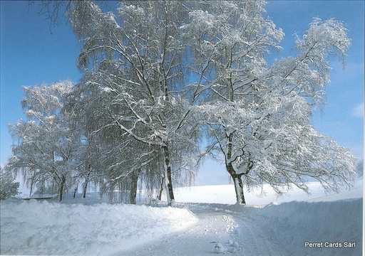 [1019098] Postcards 19098 w Paysage d'hiver