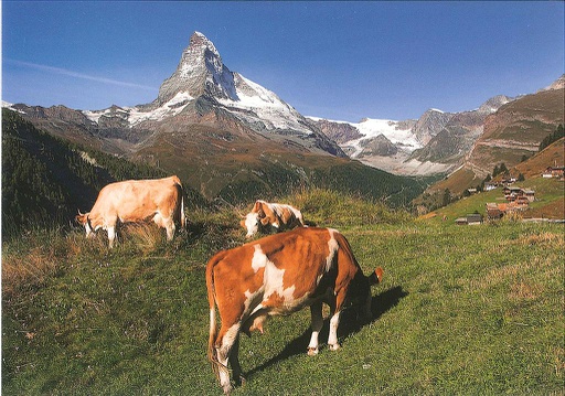 [1025458] Postcards 25458 Zermatt (Findeln, Matterhorn)