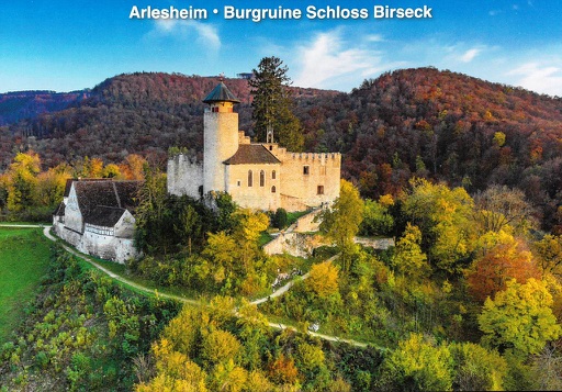 [1029343] Postcards 29343 Arlesheim, Burgruine Schloss Birseck