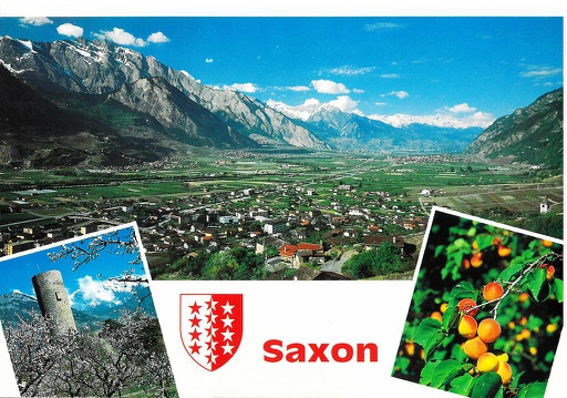 [6144010] Postcards 44010 Saxon