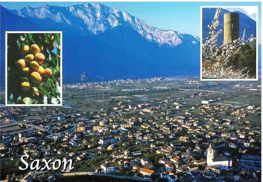 [6144046] Postcards 44046 Saxon