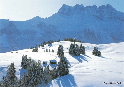 [6191109] Postcards 91109 w Paysage hivernal