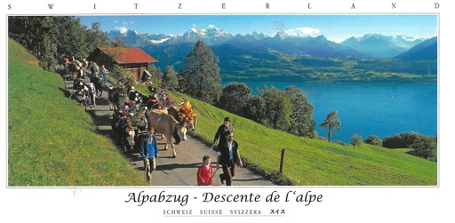 [45437] Postcards Pano 45437 Descente de l'alpe