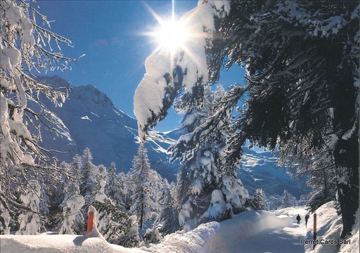 [1021472] Postcards 21472 w Paysage d'hiver