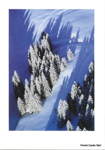 [6191080] Postcards 91080 w Sapins enneigés 