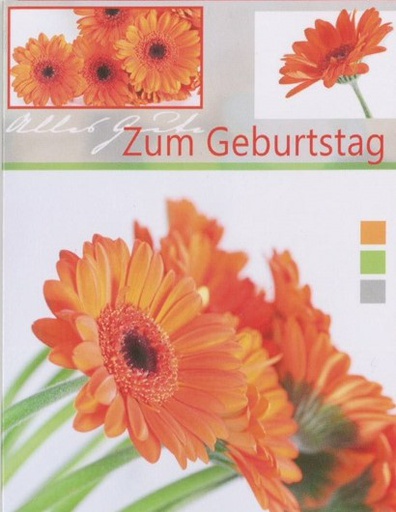 [MN-GB MD-60467] Mini Geburtstag