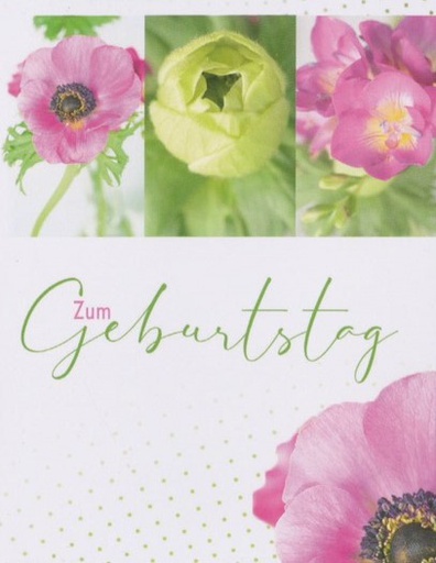 [MN-GB MD-60466] Mini Geburtstag