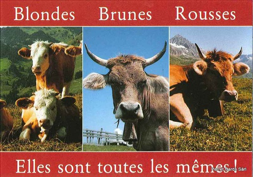 [1012874] Postcards 12874 Vaches &quot;Blondes, brunes, rousses, elles sont toutes les mêmes !&quot;