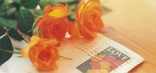 [6601140] Postcards 01140 Roses de l'amour