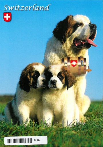 [6106082] Postcards 06082 St-Bernard Switzerland