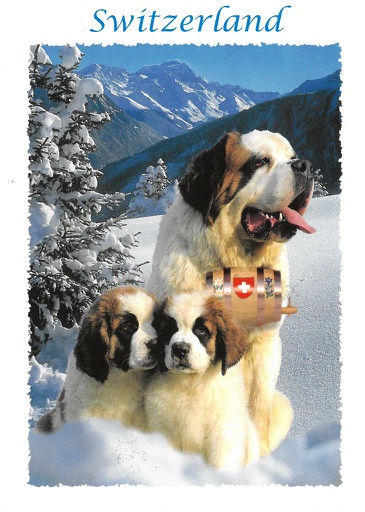 [6106083] Postcards 06083 w Saint-Bernard 