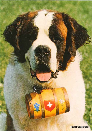 [06822] Postcards 06822 St-Bernard avec tonnelet