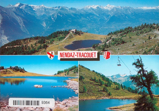 [6309364] Postcards 09364 Nendaz Tracouet